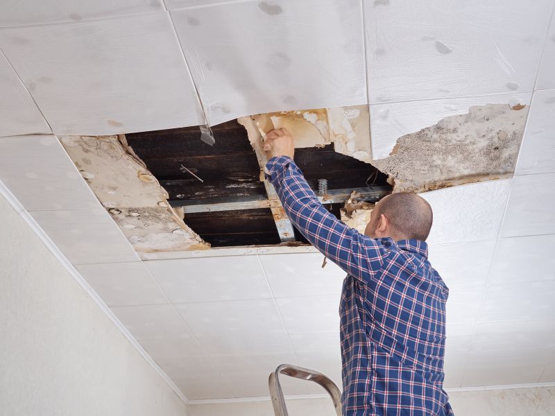 Ceiling Drywall Repair in Conroe, TX